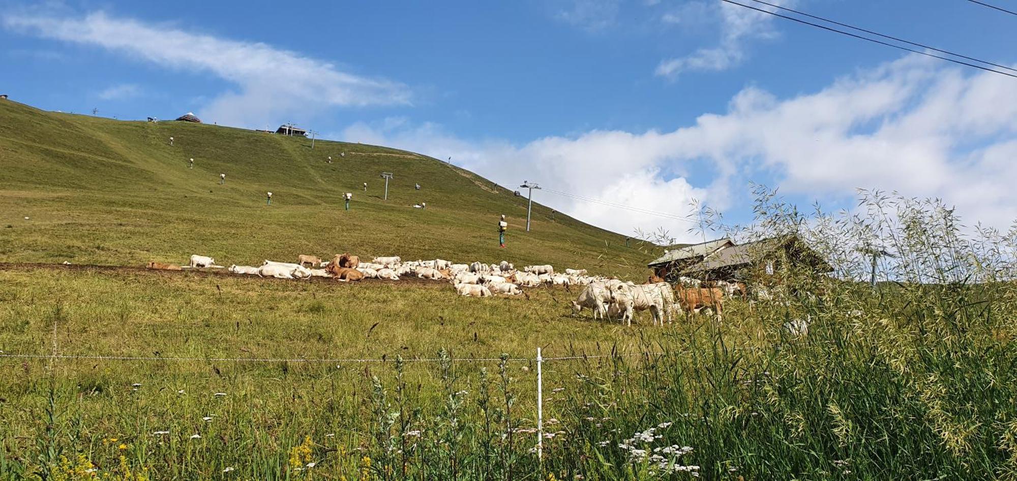 *Nouveau* Pied Des Pistes * Piscine Ext. Chauffee* Alpe d'Huez Zewnętrze zdjęcie